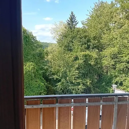 Zum Lahnfelsen Отель типа 